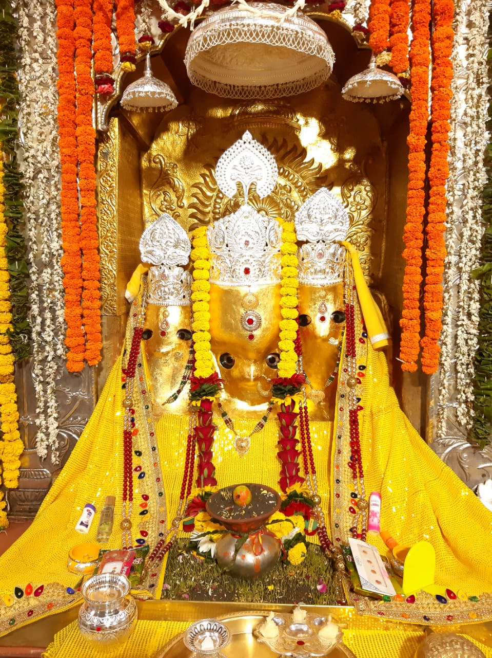 मां बगलामुखि दर्शन लाइव