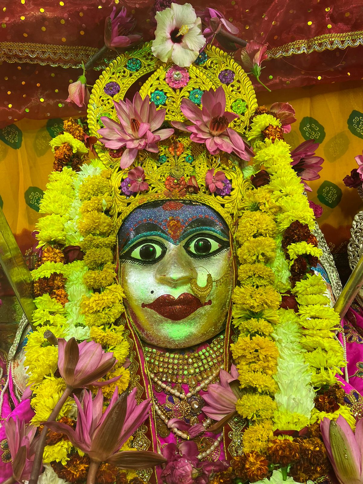 30 December: बिजासन माता लाइव दर्शन