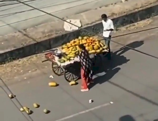 MP News: ठेला कार से टच होने पर भड़की प्रोफेसर, सड़क पर फेंके गरीब के फल