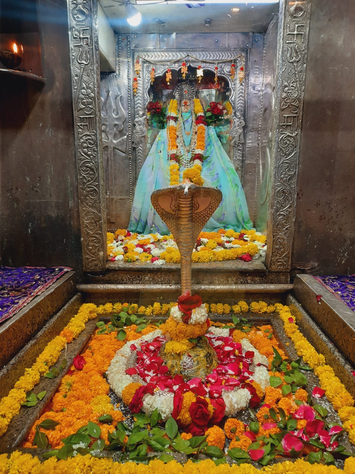 12 March : देशभर के लाइव भगवान दर्शन