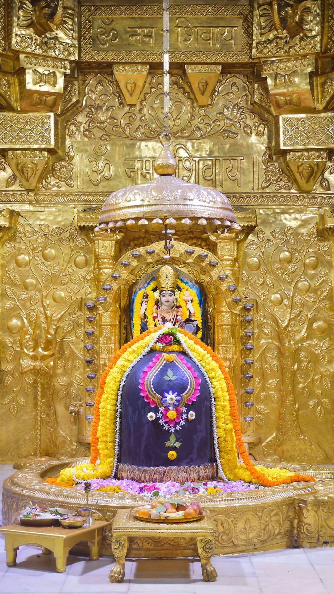 12 March : देशभर के लाइव भगवान दर्शन