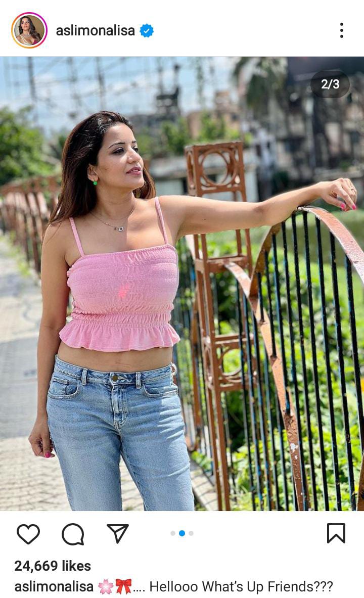 क्रॉप टॉप के साथ डेनिम पहन मोनालिसा ने दिखाईं अपनी कातिल अदाएं