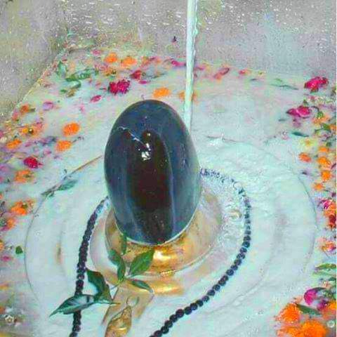 आश्विन कृष्णा एकादशी Live Darshan : कीजिए देशभर के प्रमुख मंदिरों के मंगला दर्शन