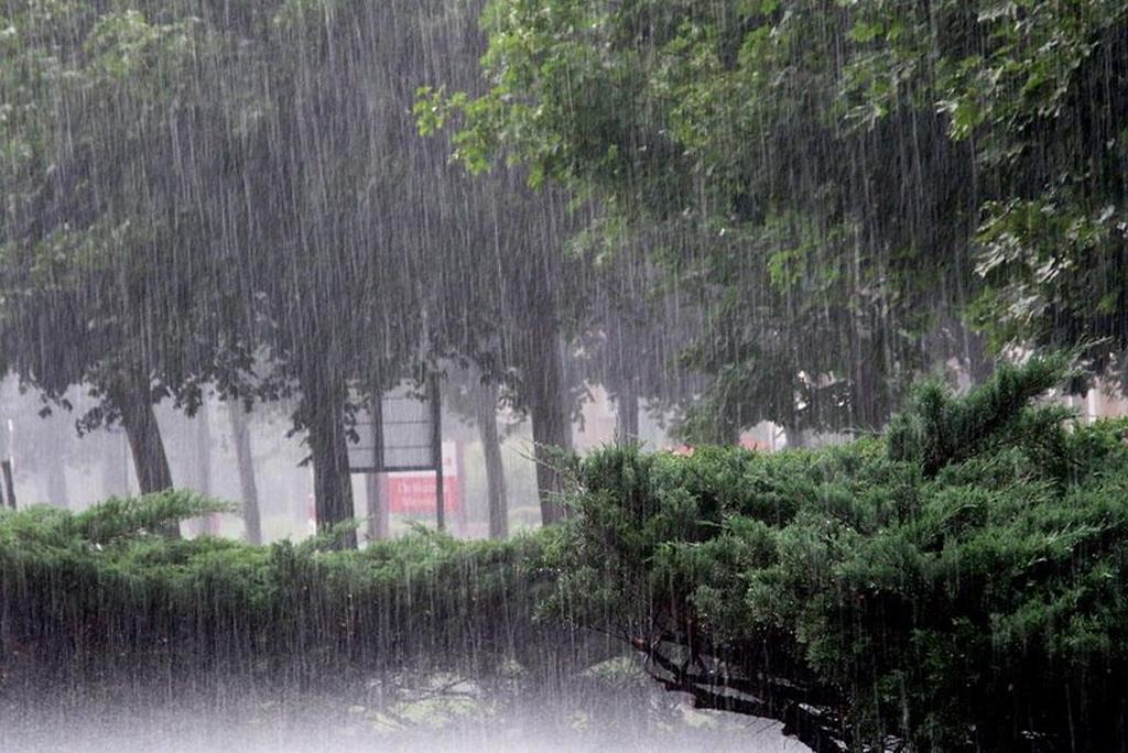 MP Weather & IMD Update : प्रदेश के इन जिलों में बारिश भिगा सकती है 'दशहरा', जानिए किन राज्यों में रहेगा घने बादलों का पेहरा