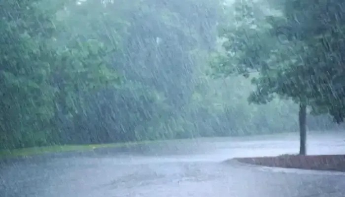 IMD Alert : मध्यप्रदेश में दिवाली का जश्न फीका करती दिख सकती है बारिश, इन जिलों में बरसेंगे मेघ
