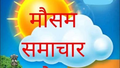 IMD Update : इन जिलों में सर्दी ने दिखाया अपना रूप, इतने राज्यों में कोहरे में बदलने वाली है धूप