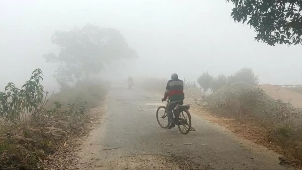 IMD Update : इन जिलों में सर्दी ने दिखाया अपना रूप, इतने राज्यों में कोहरे में बदलने वाली है धूप