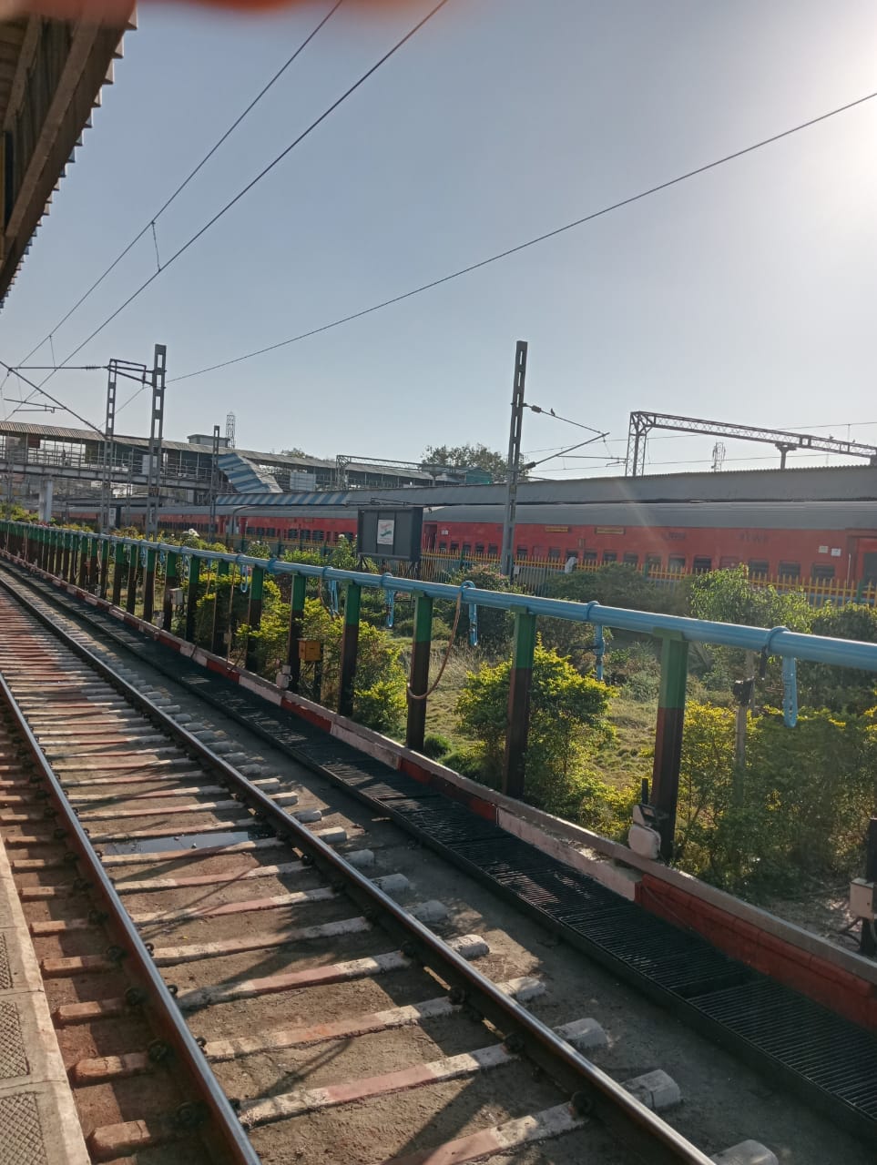 Indore Railway Station : यात्रियों को सुकून दे रही शहर की ताज़ी खुशबूदार हवा, प्लेटफॉर्म के बीच लगाए पौधों ने लिया गार्डन का रूप