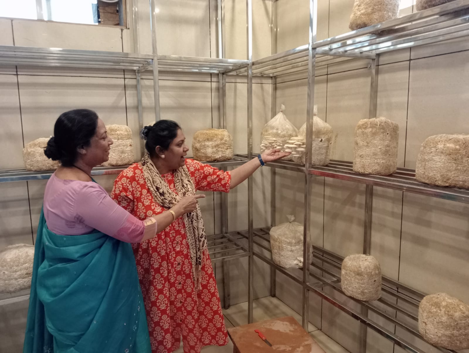 होलकर साइंस के बॉटनी डिपार्टमेंट में AC रूम में भूसे तथा लकड़ी के बुरादे समेत इन चीजों पर उगाया जा रहा मशरूम