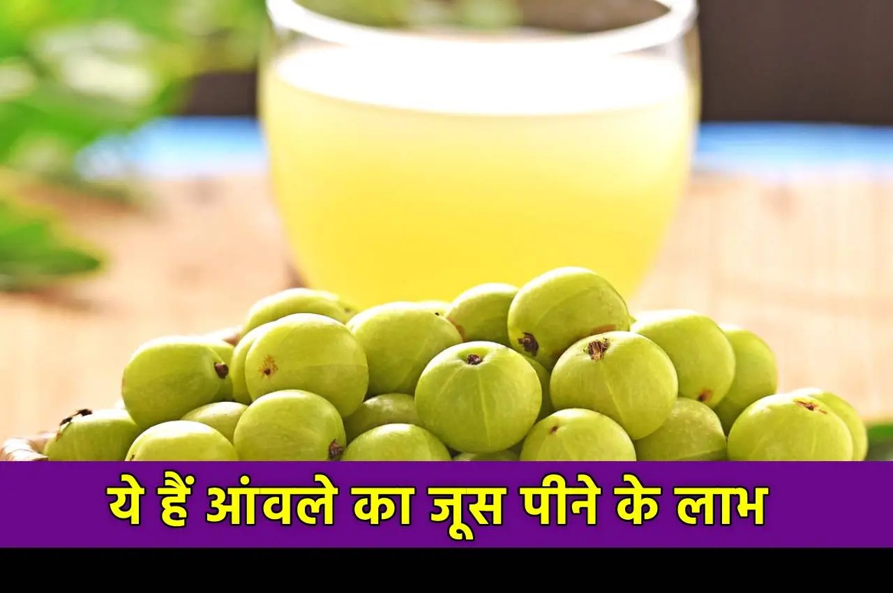 Health Tips : आंखों की रोशनी बढ़ाने के लिए डाइट में जरूर शामिल करें आंवला, चश्मे की समस्या होगी दूर