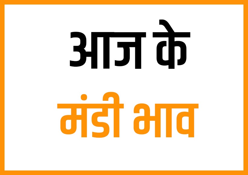 Today Indore Mandi Rate : आज मंडी में चमकीली धातुओं में दिखीं मजबूती, सरसों - मसूर दालों में आया उठाव