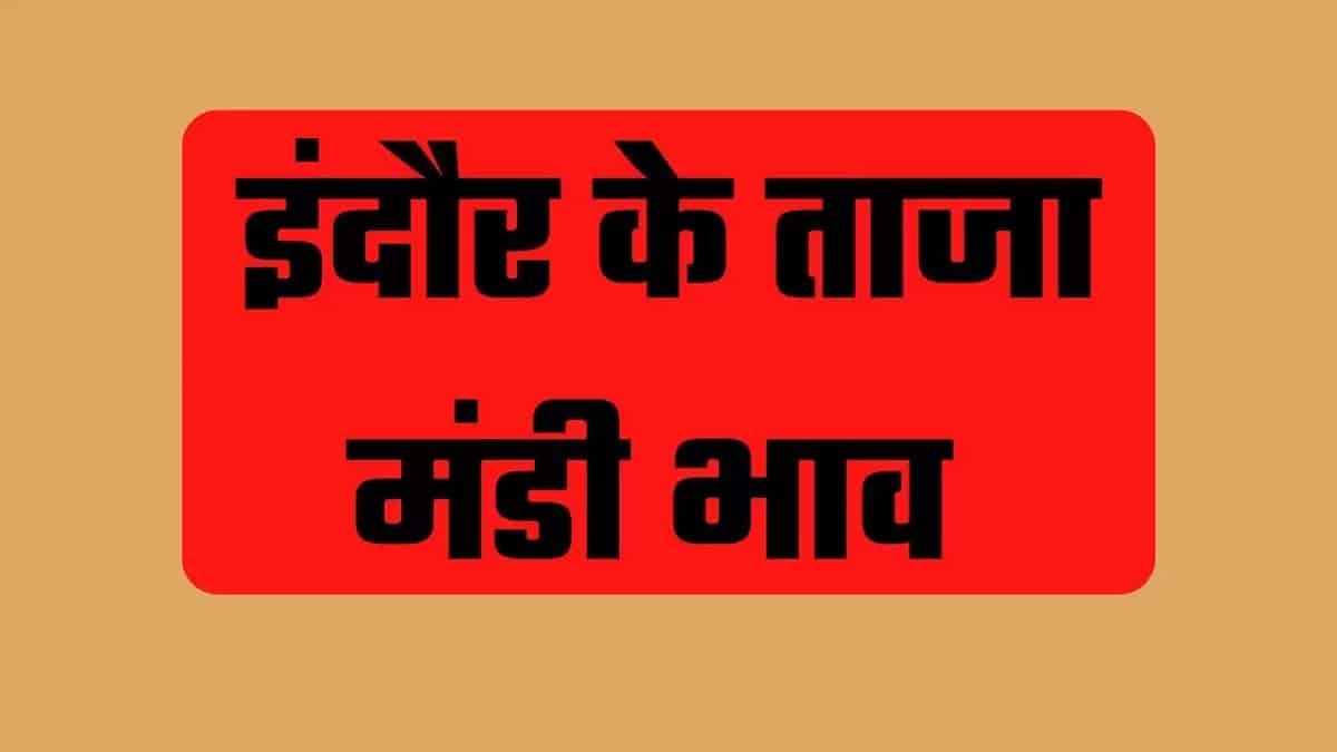 Indore Mandi Rate : नई आवक से सरसों के भाव में आई कमी, सोयाबीन में भी दिखी मंदी
