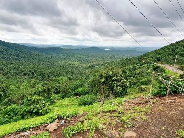 रालामंडल में 10,000 पेड़ों की एक हरी दीवार बनाई गई थी, जानापाव हिल स्टेशन को भगवान परशुराम का जन्म स्थान माना जाता है, विश्व वानिकी दिवस पर जानिए शहर के जंगल