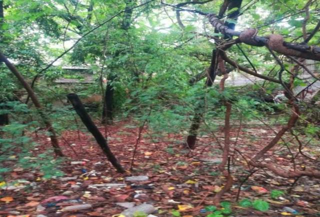राजस्व विभाग की मोती तबेला स्थित भूमि परिसम्पत्ति की बिक्री हेतु निविदा जारी