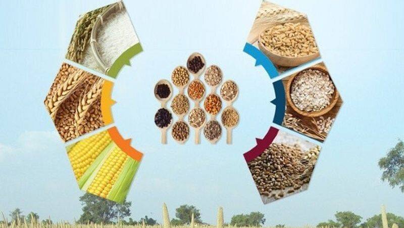 संयुक्त राष्ट्र संघ ने वर्ष 2023 को मिलेट वर्ष किया घोषित, 1 अप्रैल को मिलेट मेले का होगा आयोजन