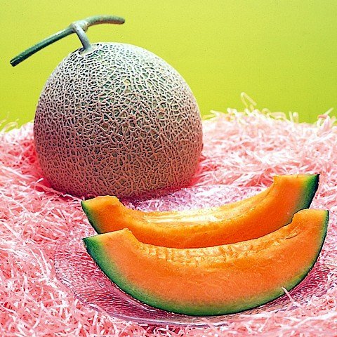 OMG! क्या आपने देखा है 20 लाख की कीमत वाला ये खरबूजा, फायदे जान हो जाओगे हैरान