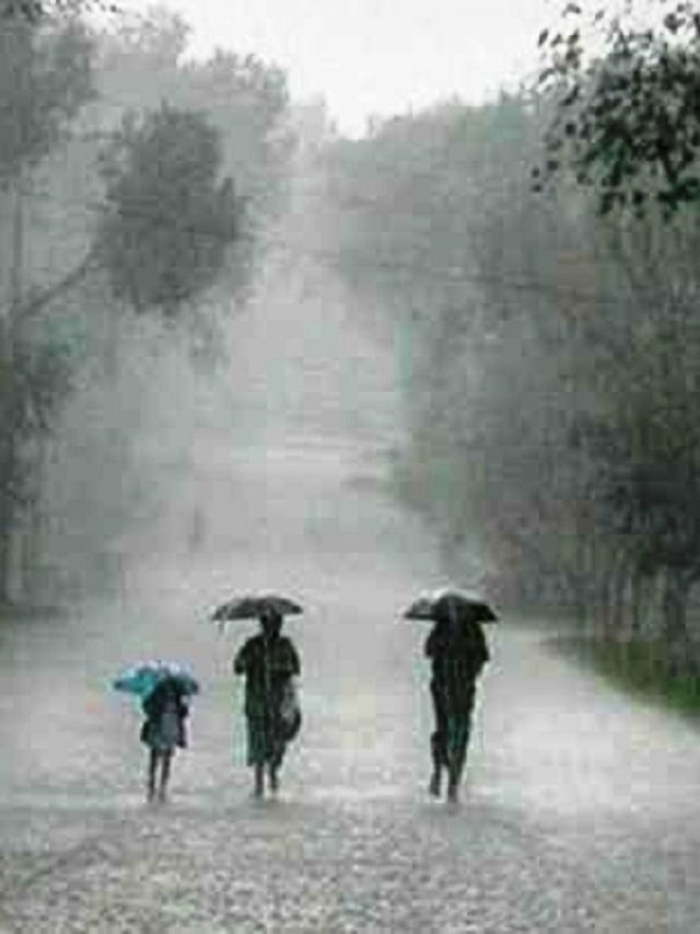 WhatsApp Image 2023-04-06 at 1.45.44 PM