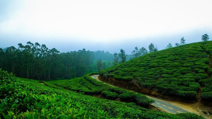 गर्मी की छुट्टियों में बना रहे घूमने का प्लान, तो इन जगहों पर जरूर जाएं
