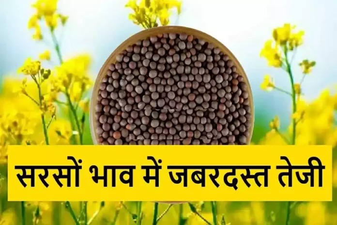 Mandi Bhav: मंडी में सरसों के भाव में जबरदस्त उछाल, यहां देखें आज के लेटेस्ट भाव