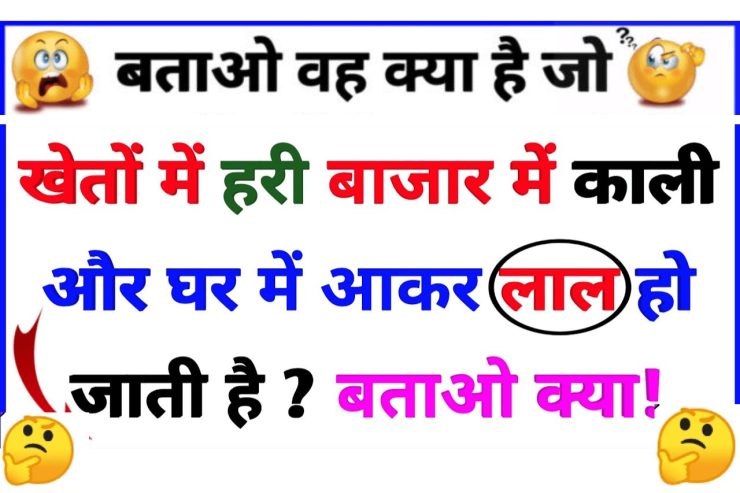 Interesting Gk Question: खेतों में हरी होती है, बाजार में काली होती है, घर आकर लाल हो जाती है, बताओ वह क्या है?