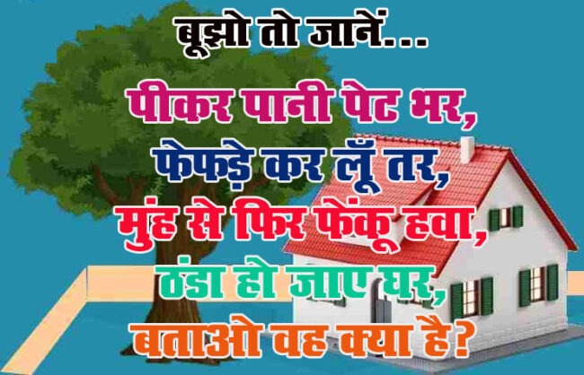 Interesting Gk Question : पीकर पानी पेट भर, फेफड़े कर लूं तर, मुंह से फिर फेंकू हवा, ठंडा हो जाए घर, बताओ वह क्या है?