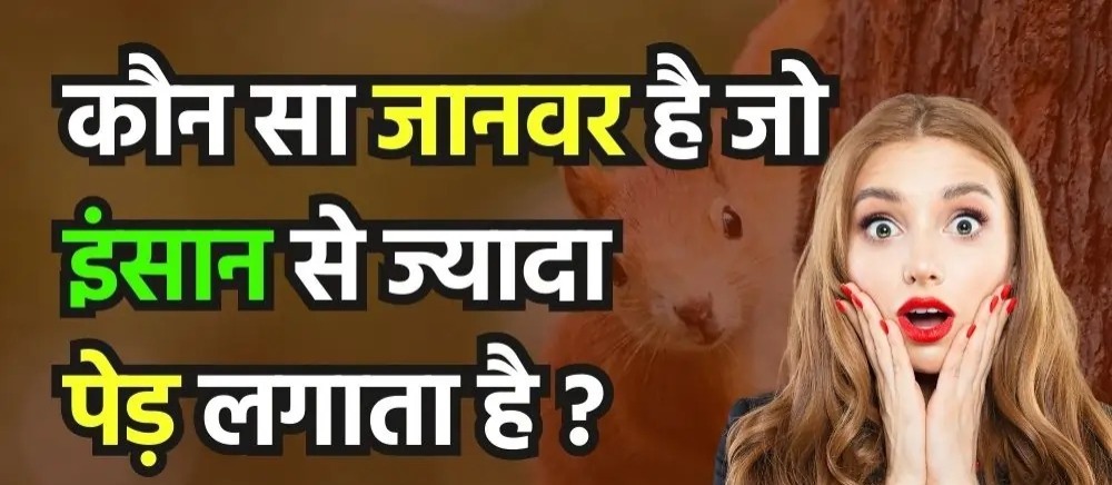 Interesting Gk Question: बताओ कौन सा जानवर इंसान से अधिक पेड़ लगाता है? केवल जीनियस ही जानते हैं इसका जवाब!