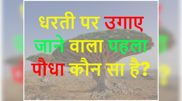 Interesting GK Questions: बताओ चांद पर सबसे पहले कौन सा पौधा उगाया गया था?