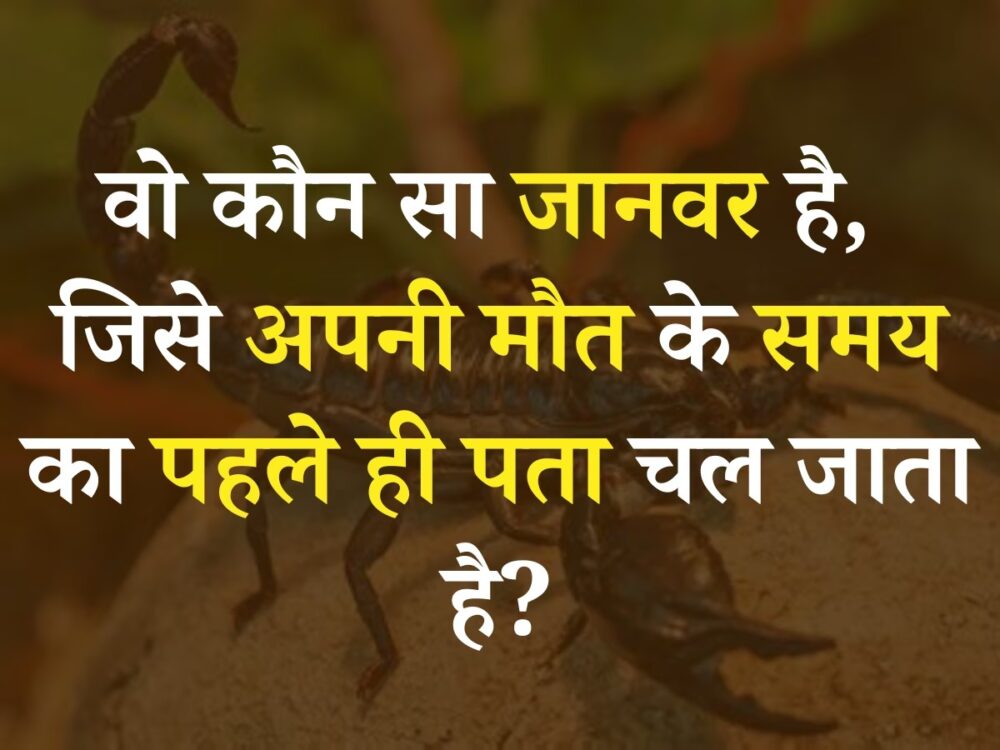 Interesting GK Questions : बताओ वो ऐसा कौन सा जानवर है, जिसे अपनी मौत के समय का पहले ही पता चल जाता है?