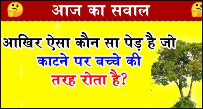 Interesting Gk Question : बताओ आखिर वो ऐसा कौन सा पेड़ हैै, जो काटने पर बच्चे की तरह रोता है?