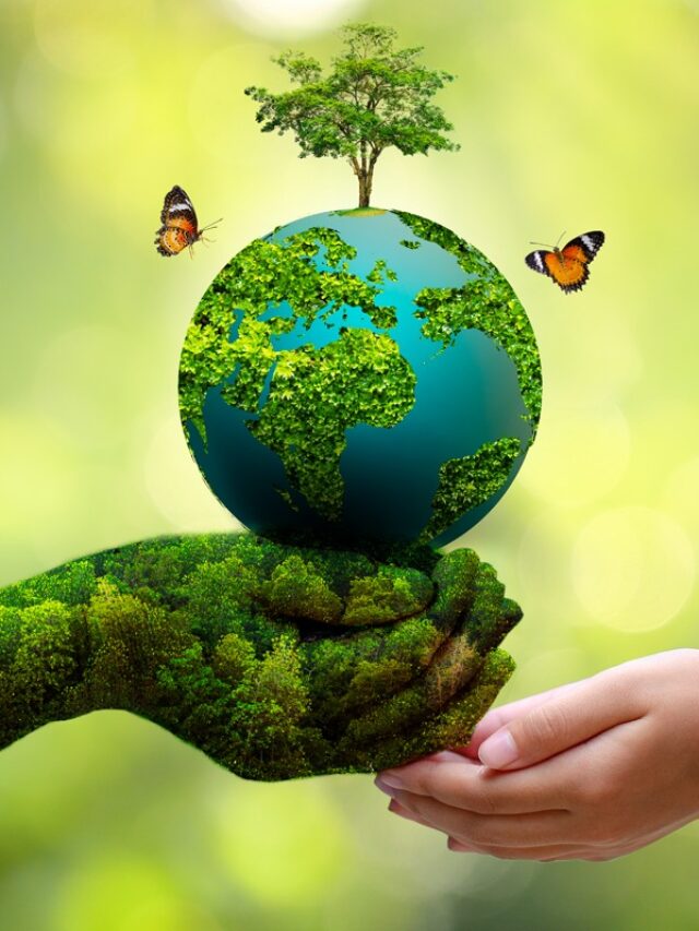 आज के दिन ही क्यों मनाया जाता है विश्व पर्यावरण स्वास्थ्य दिवस, जानें इसका इतिहास और महत्व