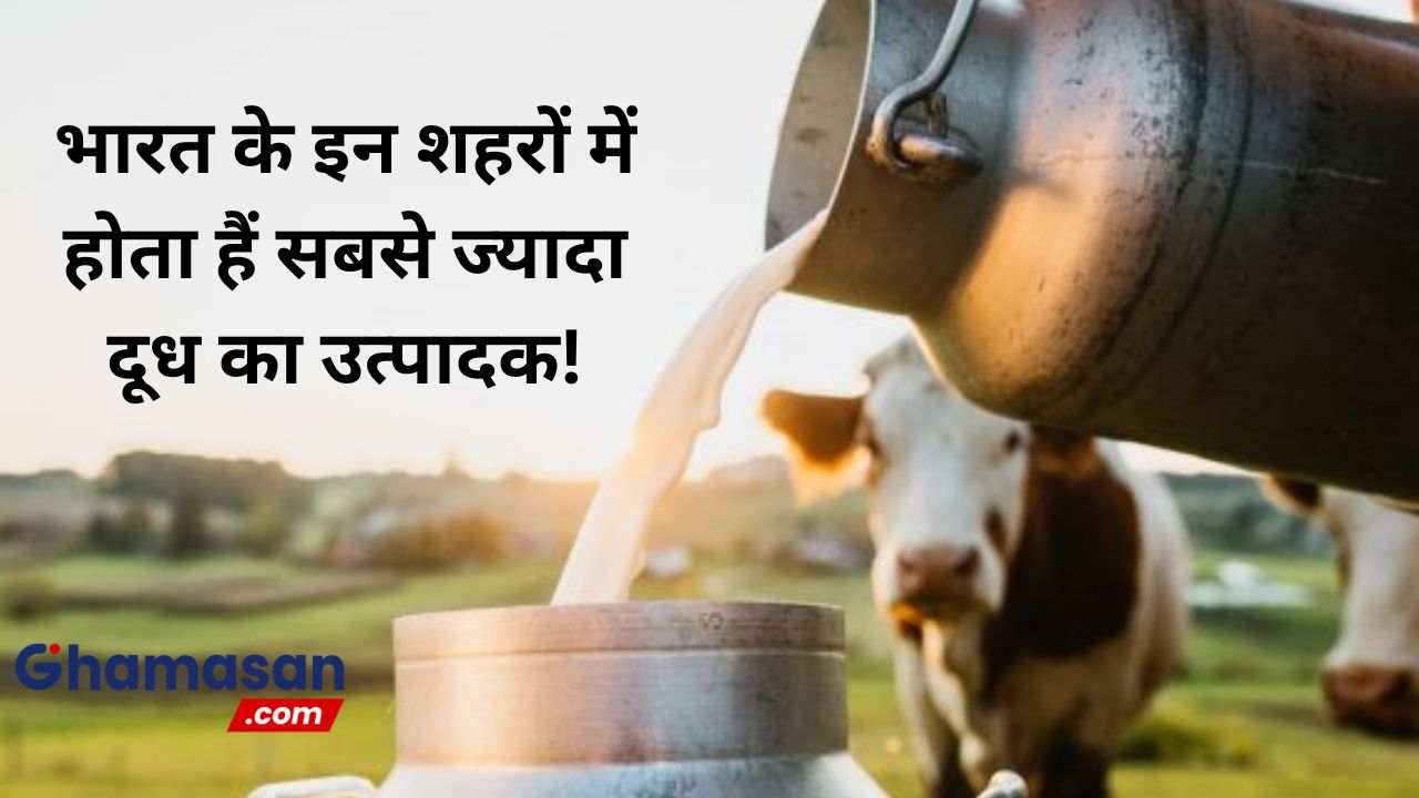 भारत के इन शहरों में होता हैं सबसे ज्यादा दूध का उत्पादन जानें शहर के नाम Most Milk Producers 7624