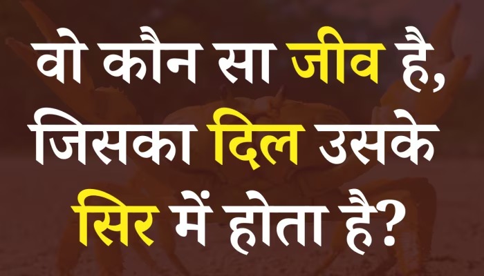 Interesting GK Question: बताओ वो ऐसा कौन सा जीव हैं जिसका दिल उसके सिर में होता है?