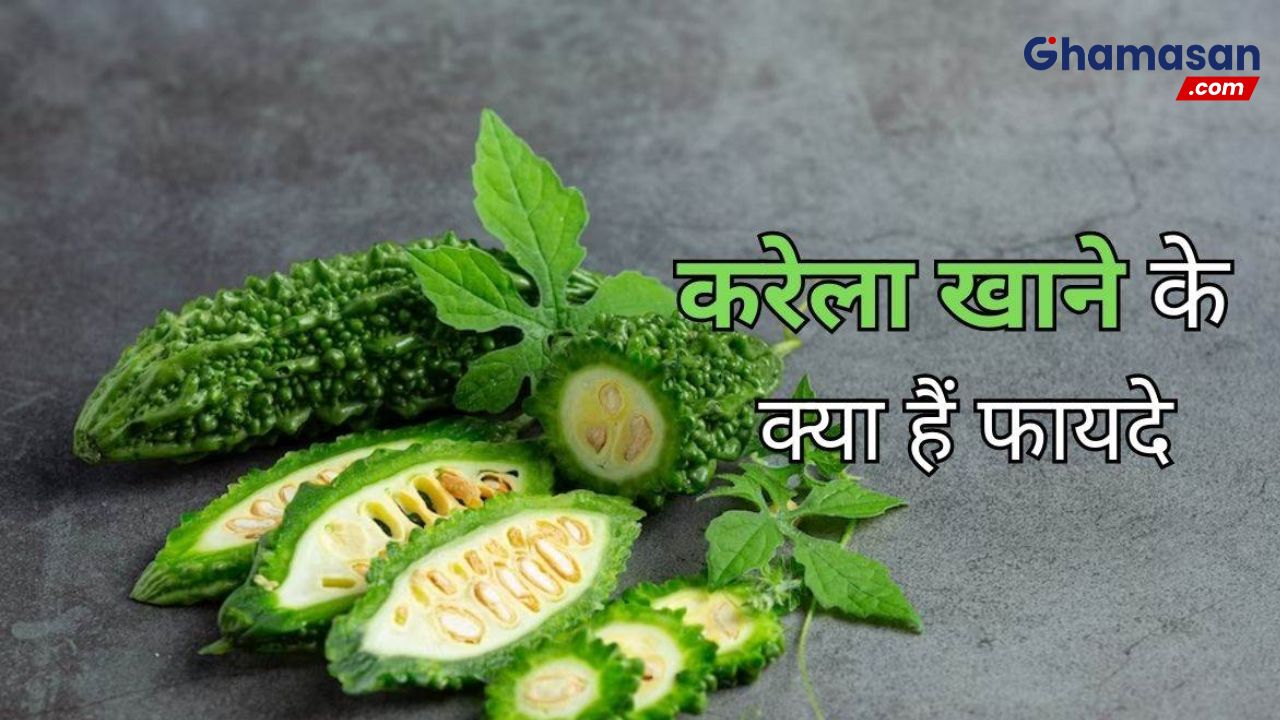 करेले के स्वास्थ्य लाभ: डायबिटीज से लेकर वजन कम करने तक कई फायदे!
