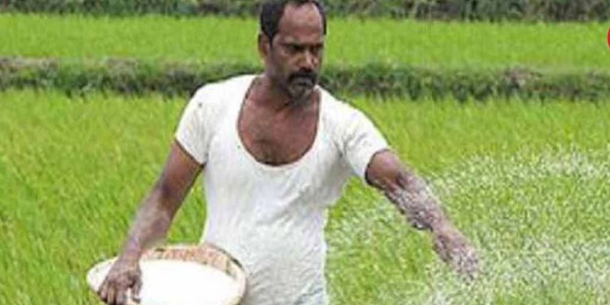 PM Kisan: 15वीं किस्त को लेकर आया बड़ा अपडेट, इन किसानों को नहीं मिलेगा पैसा!