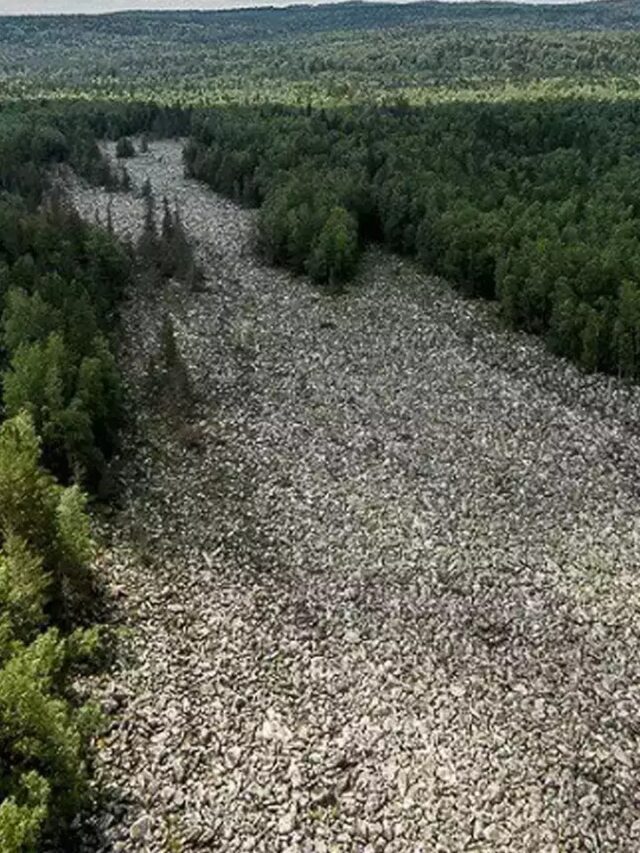 ये है दुनिया की सबसे विचित्र नदी, जिसमें पानी की जगह बहते हैं पत्थर