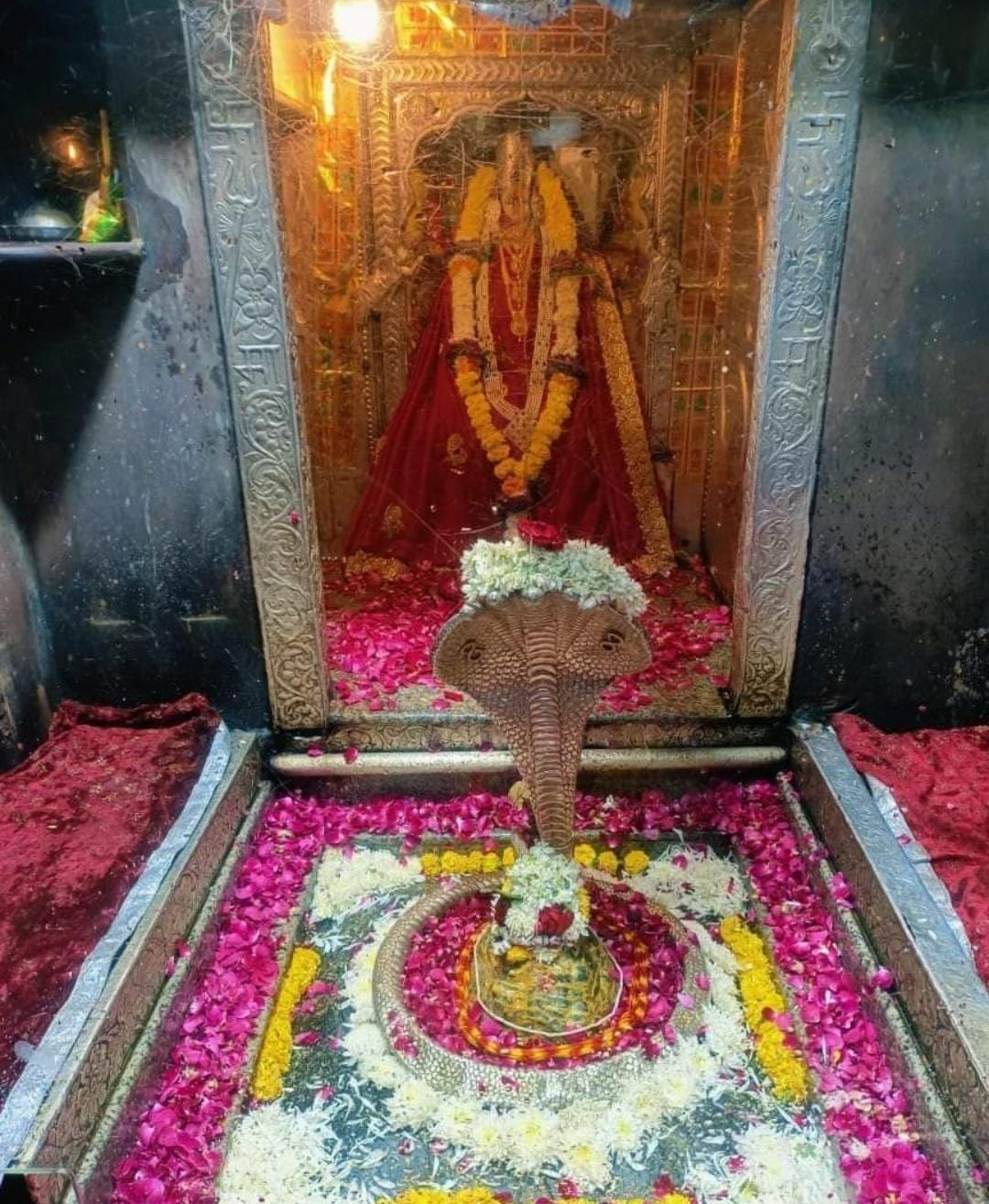 Live Darshan: हमारे साथ कीजिए देश और दुनिया के प्रमुख मंदिरों के लाइव दर्शन