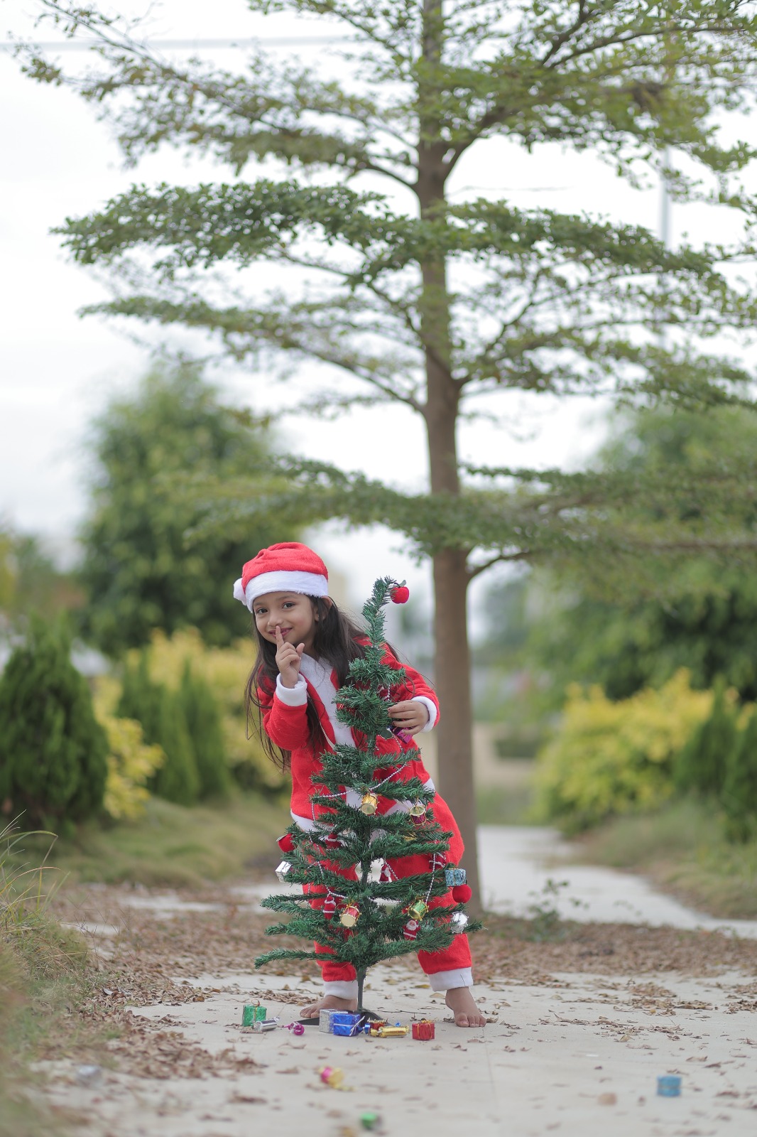 Christmas Celebration 2023 : तोहफे संग ढेर सारी खुशियां लेकर आ रहे है सांता, लाल रंग में रंगा बाजार