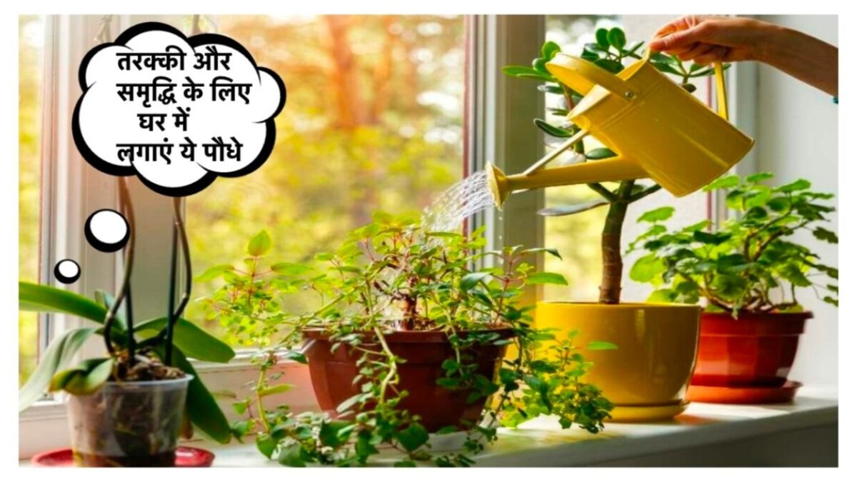 Vastu Tips: नए साल में अमीर बनने के लिए घर में लगाएं ये 3 चमत्कारी पौधे, हर दिन होगी धन की वर्षा