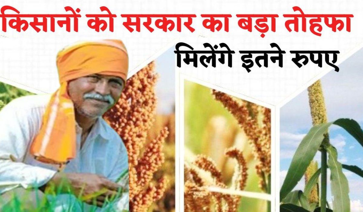 किसानों को सरकार का बड़ा तोहफा, इस फसल पर मिलेगा बोनस