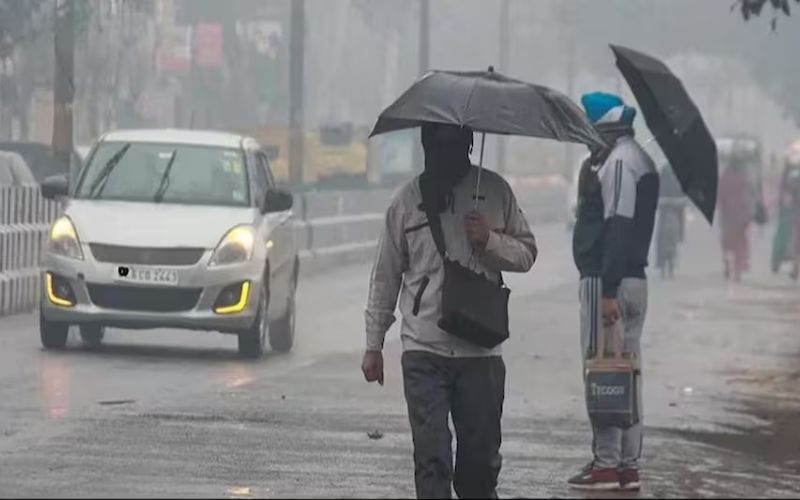 IMD Alert : अगले कुछ घंटों में नया सिस्टम होगा एक्टिव, इन 10 जिलों में होगी भारी बारिश, मौसम विभाग ने जारी किया अलर्ट