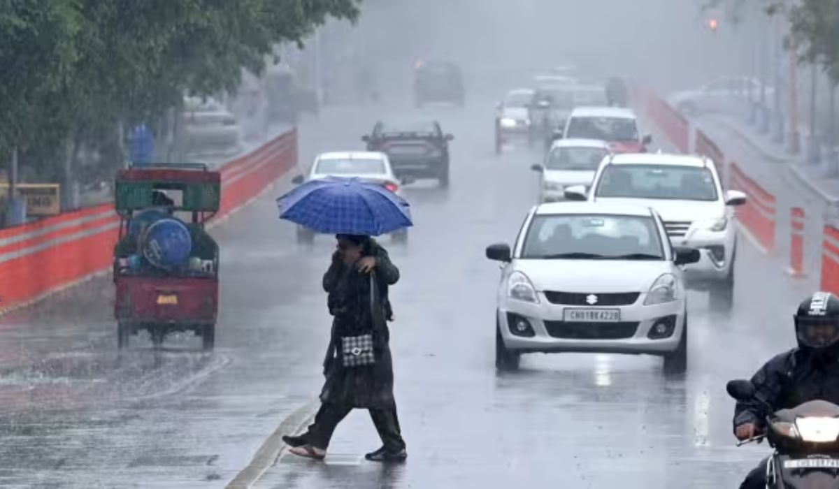 शीतलहर और कोहरे के बीच अगले 24 घंटे में इन जिलों में होगी भारी बारिश, मौसम विभाग ने जारी किया अलर्ट