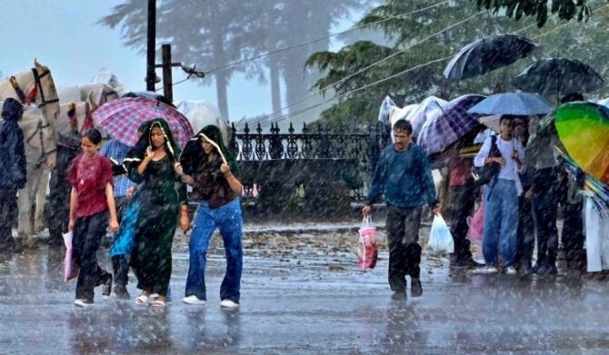 IMD Alert : ठंड के रेड अलर्ट के बीच अगले कुछ घंटों में इन 10 जिलों में होगी भारी बारिश, मौसम विभाग ने जारी किया अलर्ट