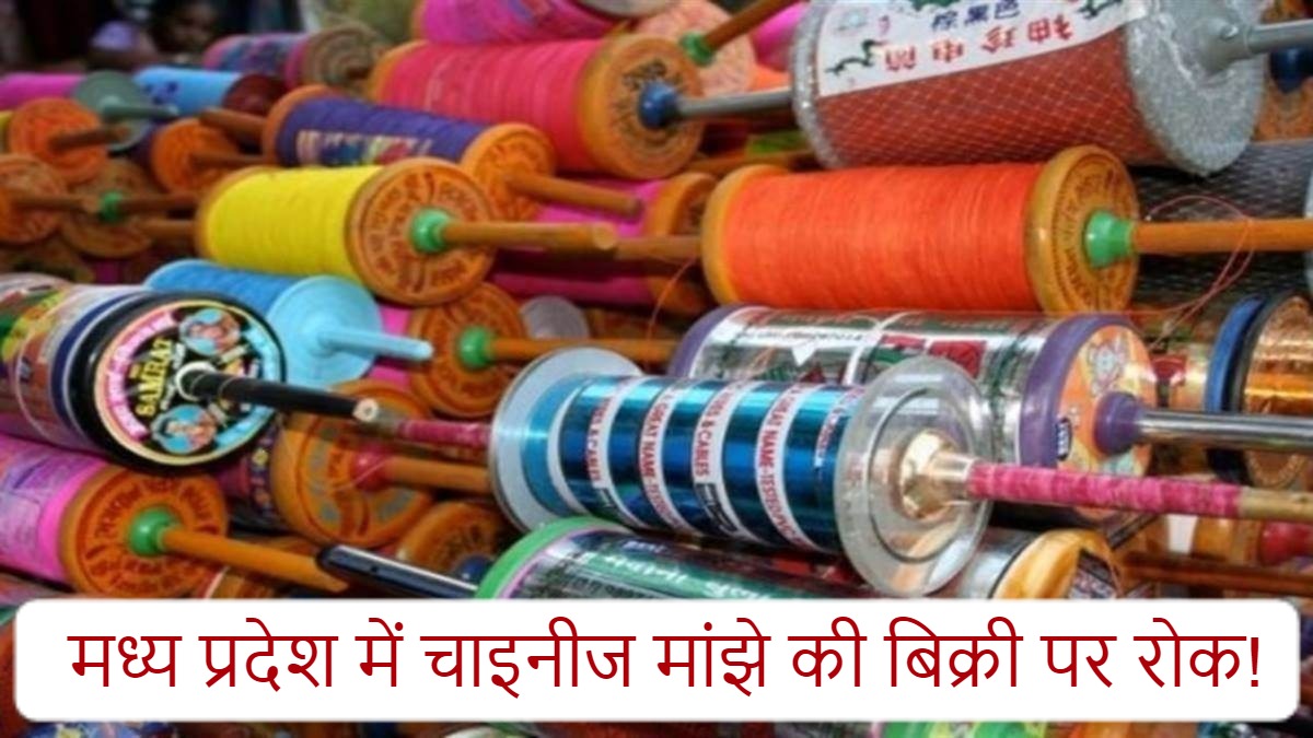 मध्य प्रदेश में चाइनीज मांझे के विक्रय पर प्रतिबंध, पर्यावरण विभाग ने जारी की अधिसूचना, उल्लंघन करने पर होगी जेल