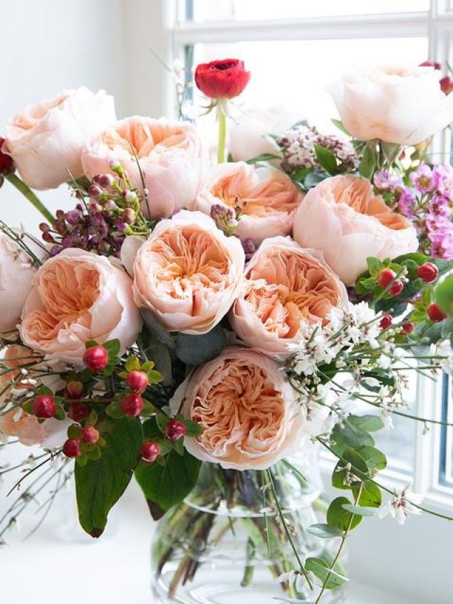 Rose Day 2024: करोड़ों की कीमत वाला ये है दुनिया का सबसे महंगा ‘गुलाब’, खिलने में लगता है 15 साल का समय