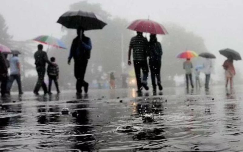 IMD Alert : अगले 24 घंटे में इन जिलों में गरज चमक के साथ होगी भारी बारिश, मौसम विभाग ने जारी किया अलर्ट