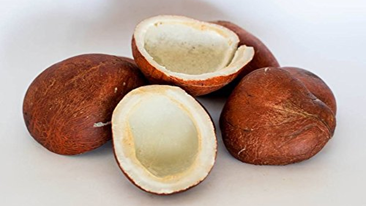 Holi 2024 : होलिका दहन पर करें ये अचूक उपाय, चमक उठेगी किस्मत, जमकर बरसेगी मां लक्ष्मी की कृपा