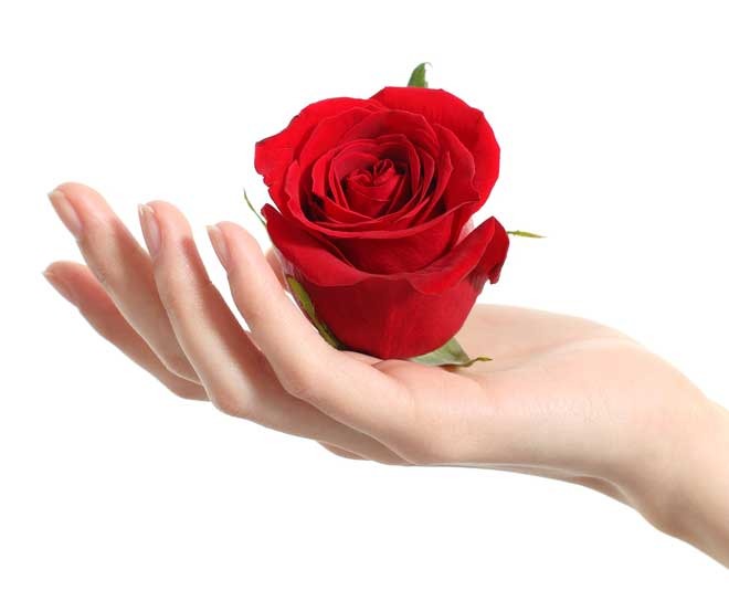 Beauty Tips: इन फूलों को लगाने से लौट आएगी चेहरे की खोई हुई रंगत, बस करना होगा ये काम