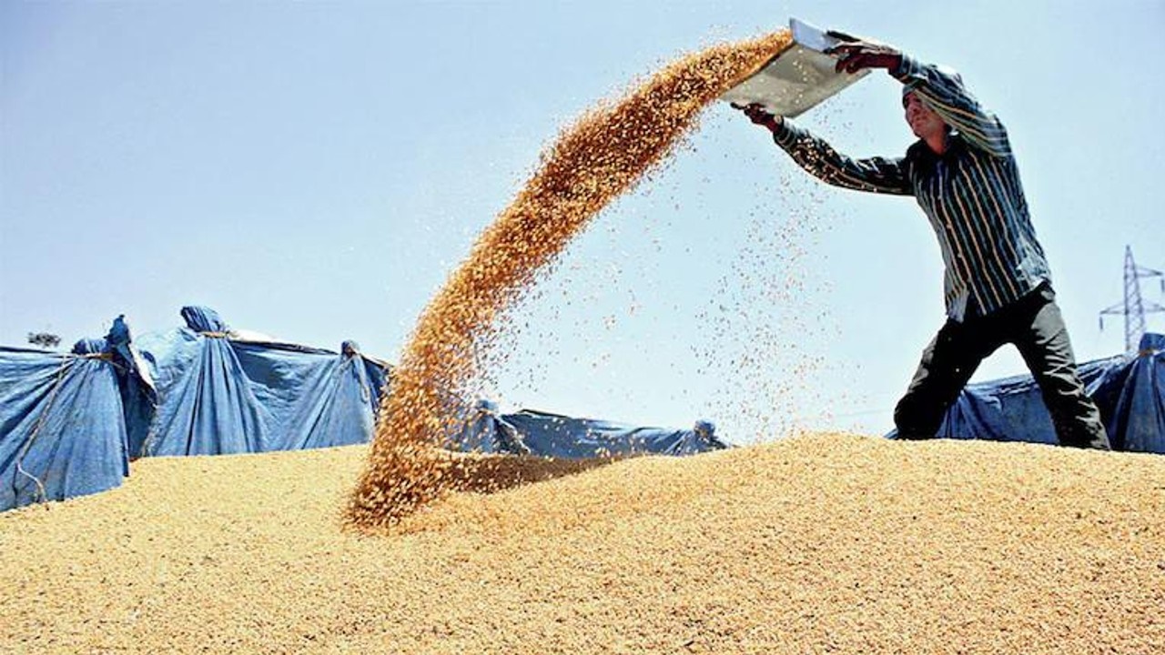मध्यप्रदेश के किसानों को बड़ी राहत, समर्थन मूल्य पर गेहूं खरीदी की तारीख बढ़ी, आदेश जारी