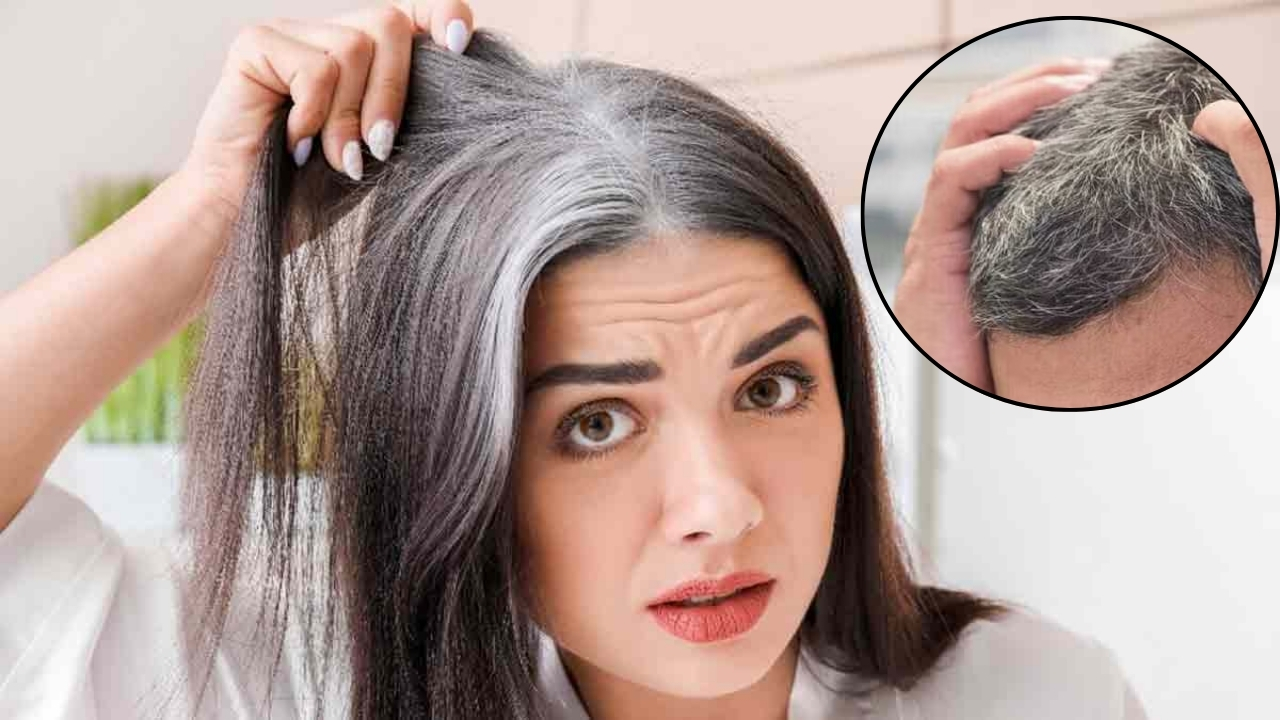 Health Tips: क्या उम्र से पहले बाल हो रहे है सफ़ेद, तो आयुर्वेद में बताए गए इस पेस्ट को लगाएं, समस्या होगी दूर
