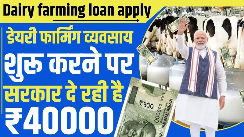 Dairy Farming Loan 2024: किसानों को सरकार देगी, 40 हजार रुपए का लोन, यहां करे आवेदन